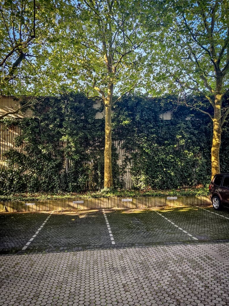 Parkplätze hinter dem Gebäude unter Bäumen